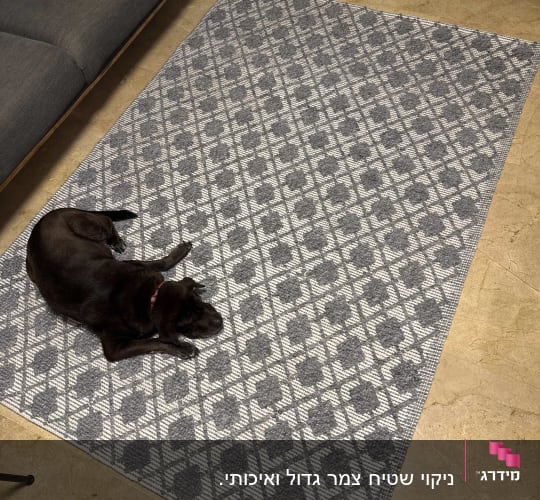 שטיח אפור עם דוגמה וכלב שוכב עליו